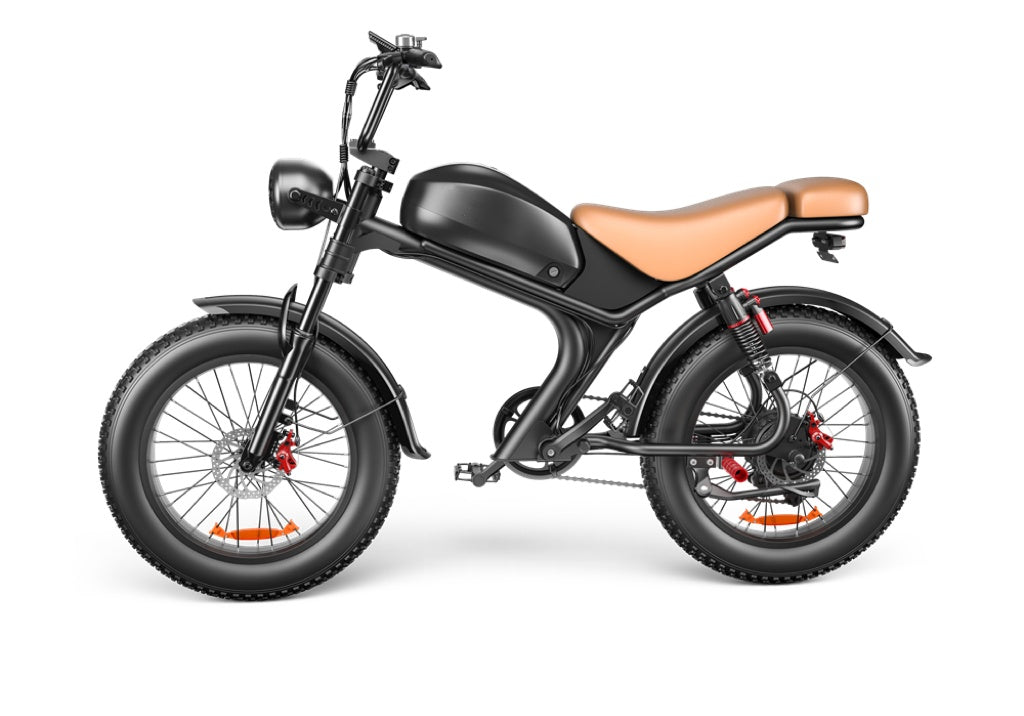 High Speed Electric Bike, 20 inch