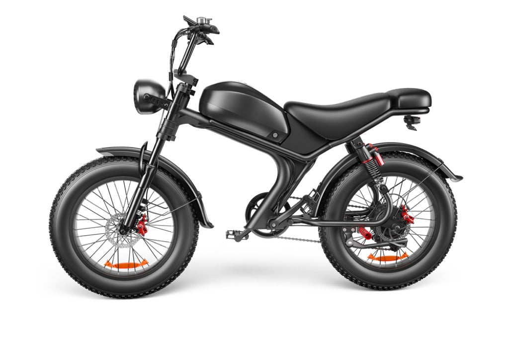 High Speed Electric Bike, 20 inch