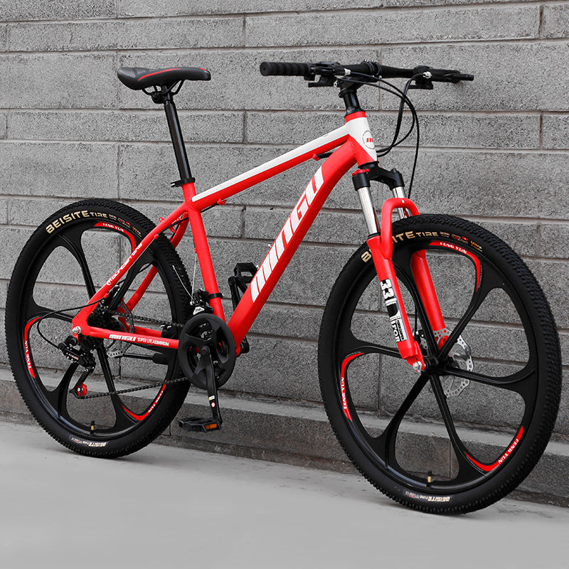 Mountain Bike 24"/26" – Disc Brake, Multi-Speed, Men & Women